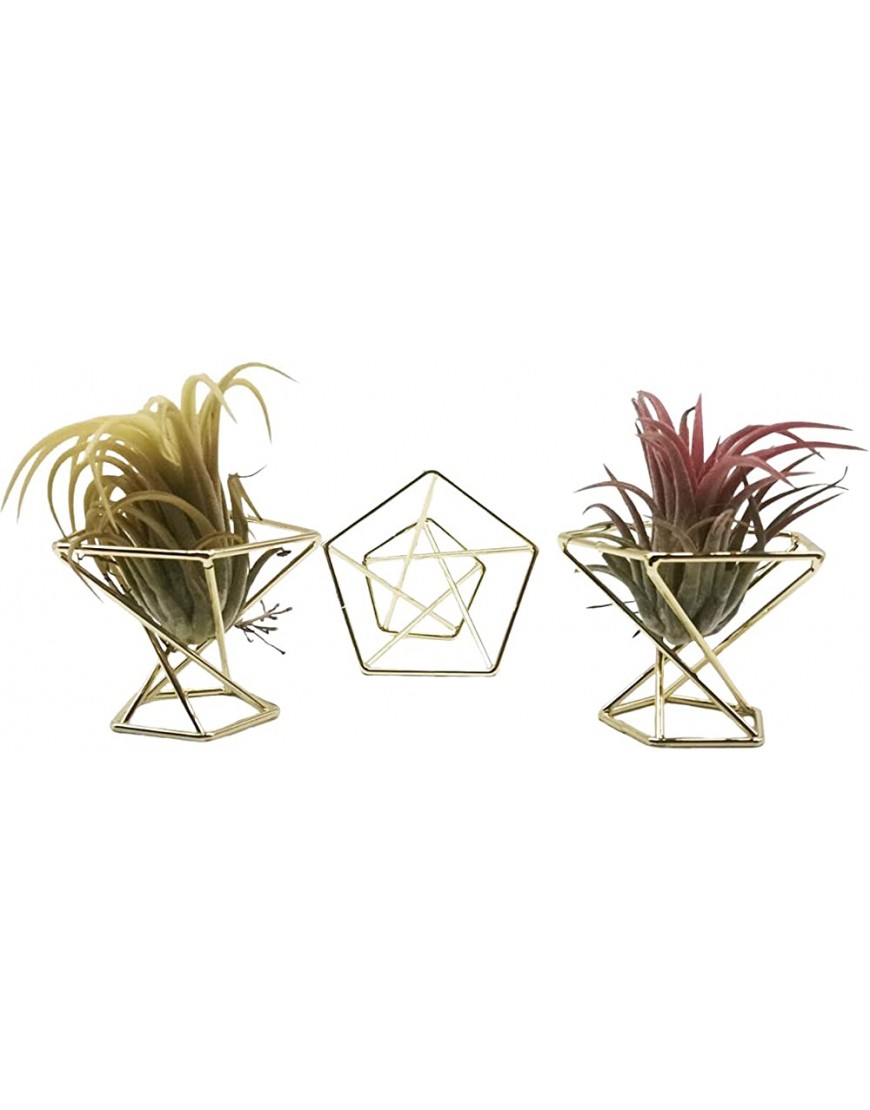 AEROBATICS Support de Support de Fleur géométrique Vase de Fleur de Fer élégant Vase en métal de Plante Moderne Support de Plante de fougère Vase de Fleur Minimaliste pour la décoration - BDEN7UOWZ